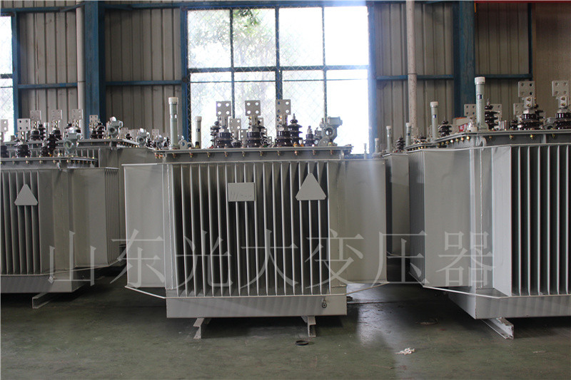迭部S20-500KVA/10KV油浸式变压器